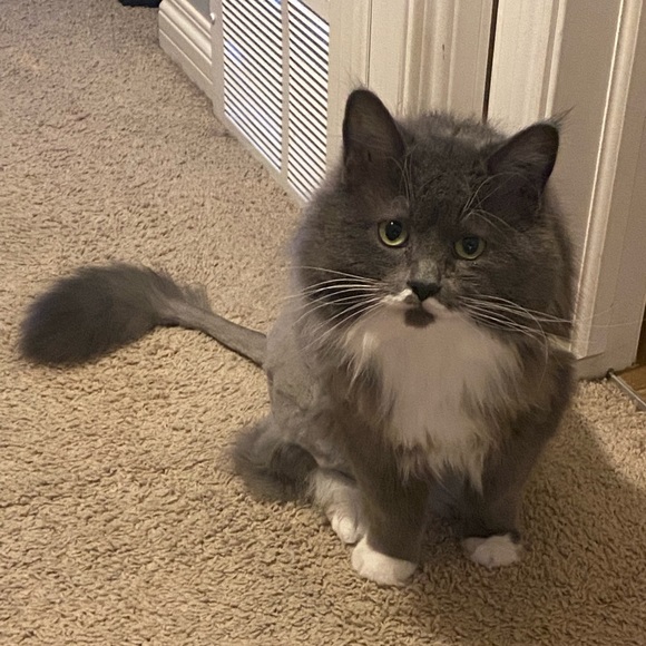 Meet your Posher, Krysta - Picture 1 of 1